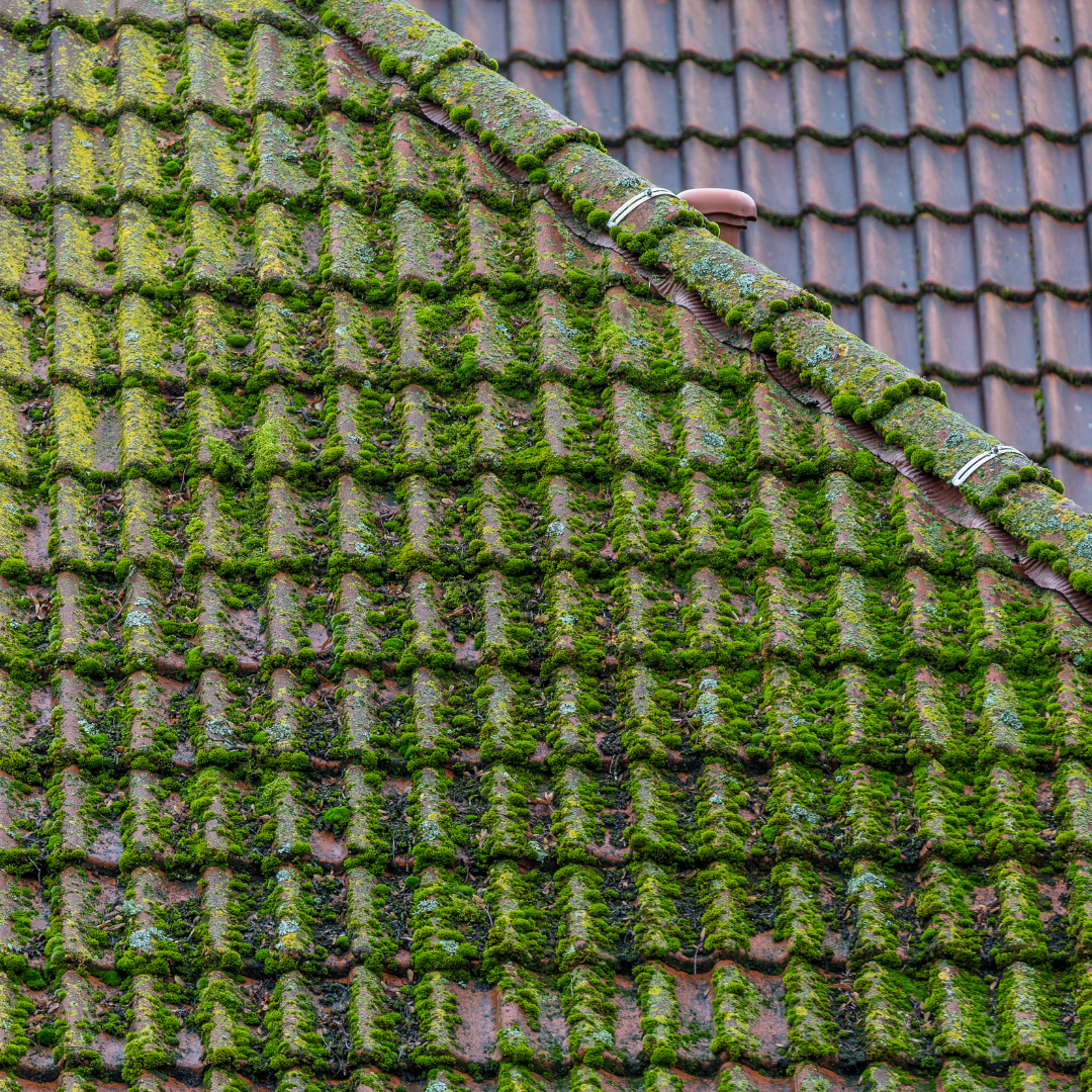 Prestation Isolation des combles Tourrettes-sur-Loup par ADM Toiture et Gouttière Alu