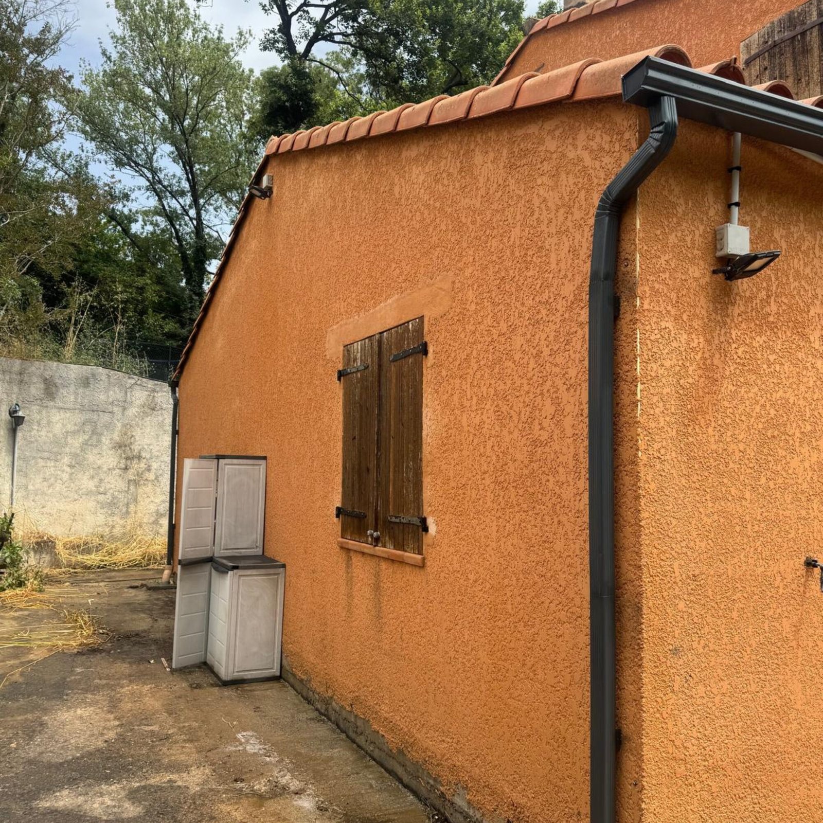 Right Image